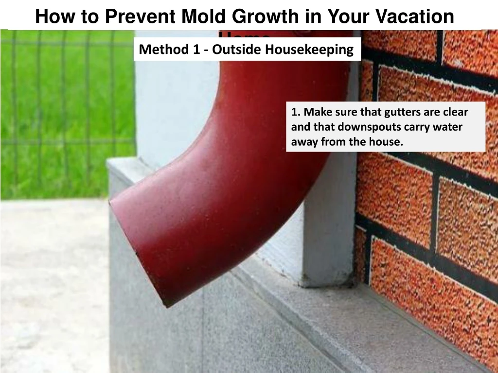 how to prevent mold growth in your vacation home