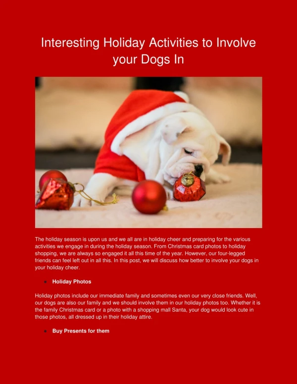 Interesting Holiday Activities to Involve your Dogs In