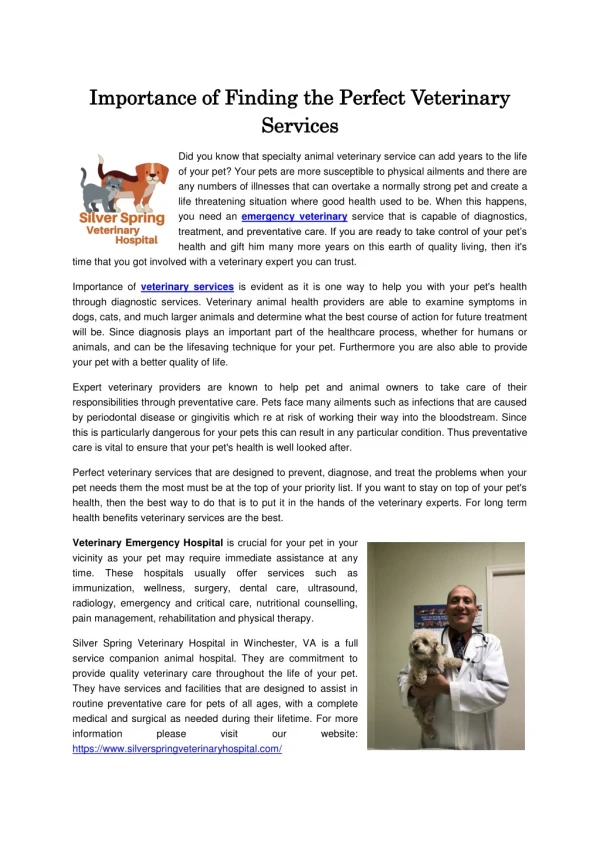 Importance of Finding the Perfect Veterinary Services