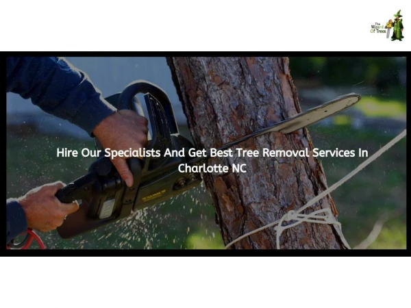 Hire our specialists and get best tree removal services in charlotte nc