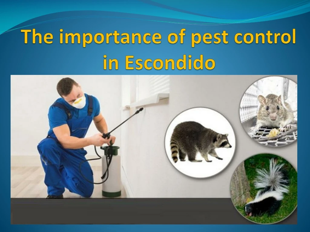 the importance of pest control in escondido