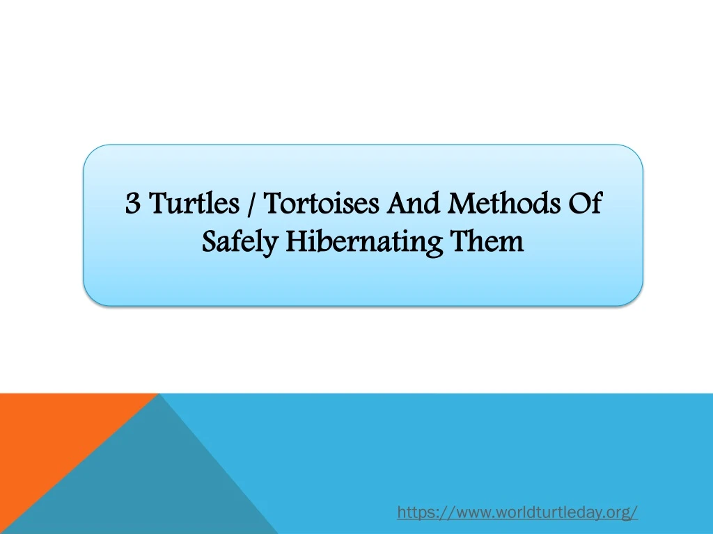 3 turtles tortoises and methods of safely