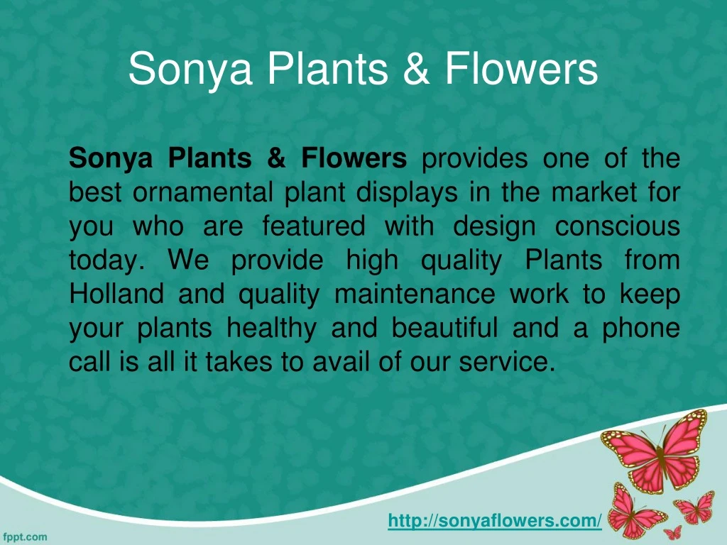 sonya plants flowers