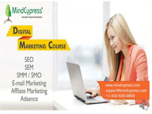 Online Digital Marketing Course | Best online courses to join for professionals , MindCypress