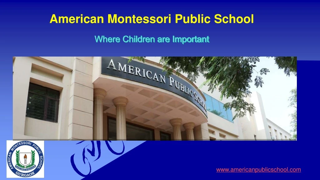 american montessori public school