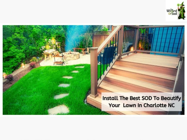 Install The Best Sod To Beautify Your  Lawn In Charlotte Nc