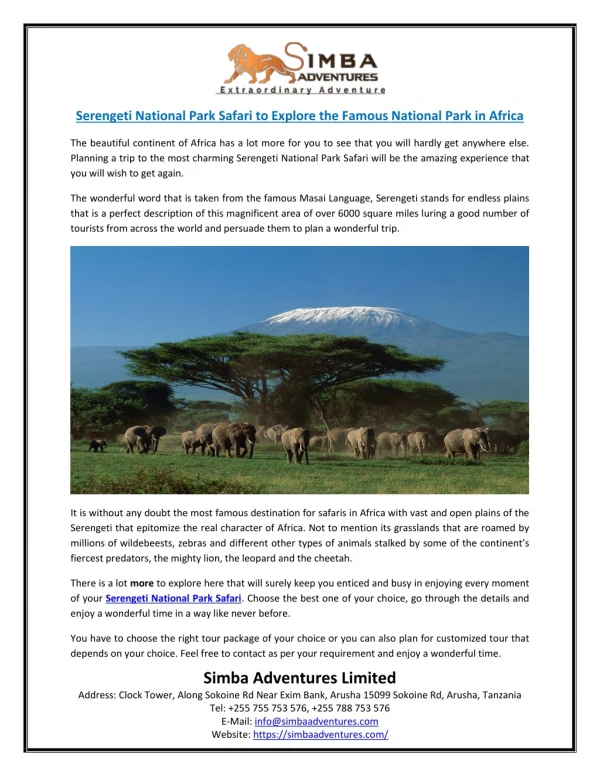 Serengeti National Park Safari to Explore the Famous National Park in Africa