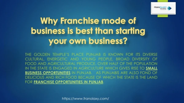 Business Opportunities in Punjab