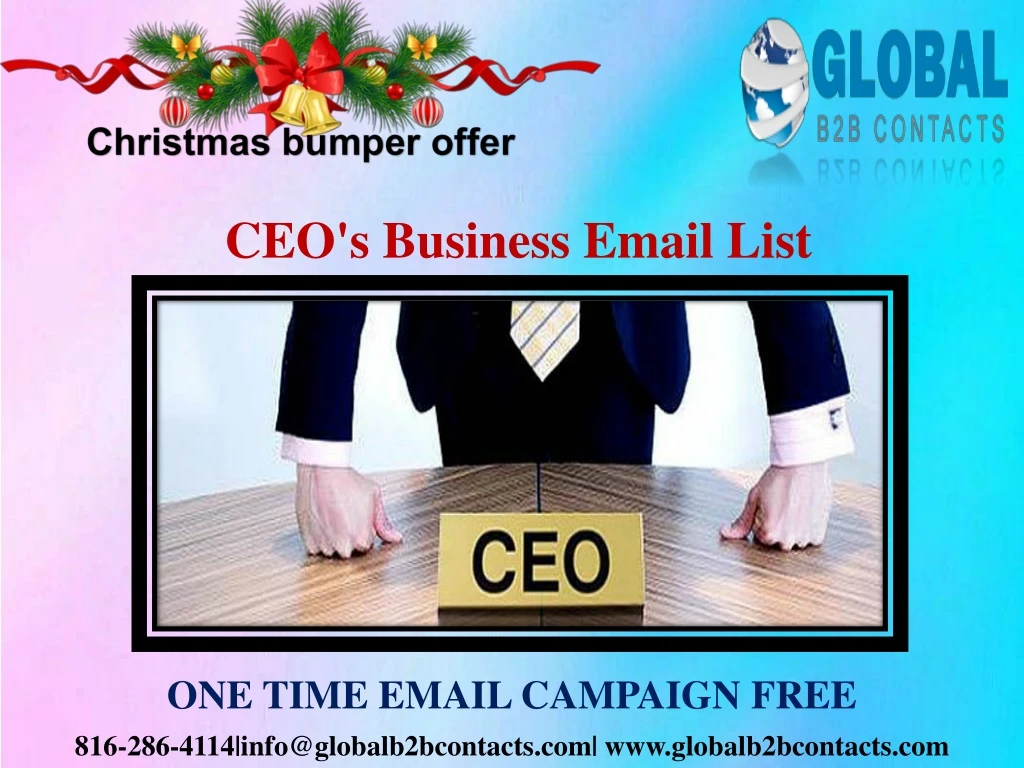 ceo s business email list
