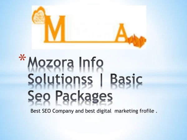 Mozora Info Solutionss | Basic Seo Packages