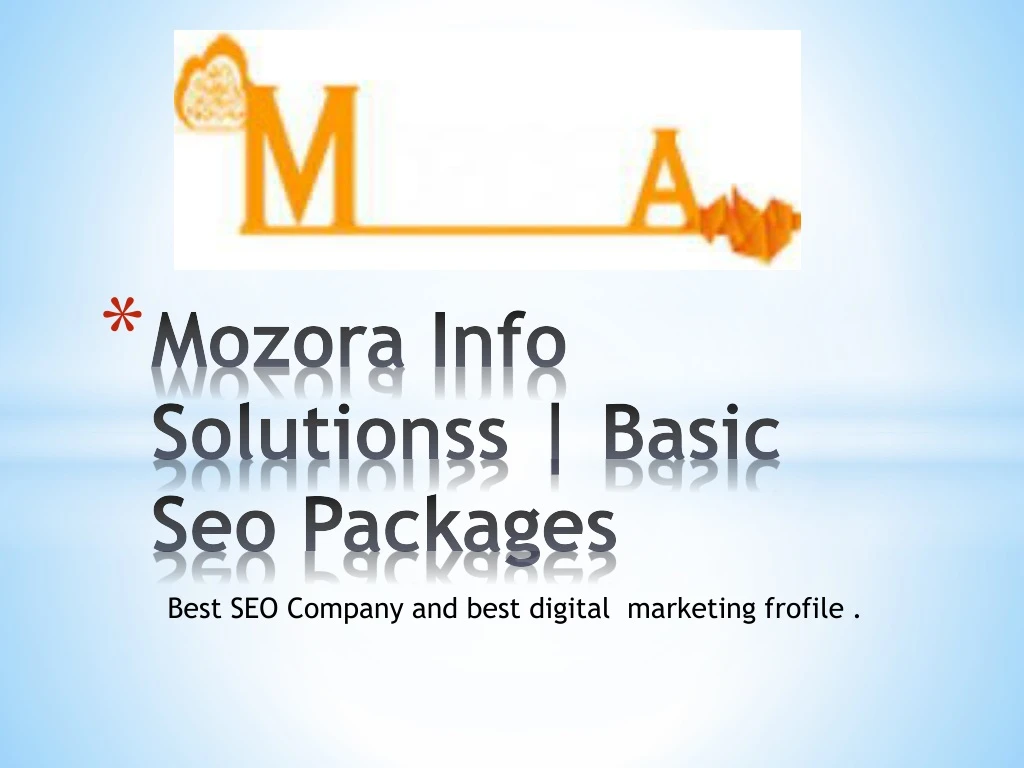 mozora info solutionss basic seo packages