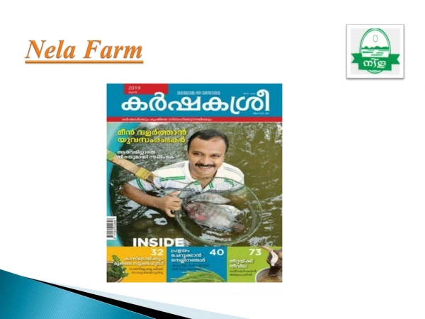 Biogas plant manufacturers in kanjirappally, kottayam, kerala