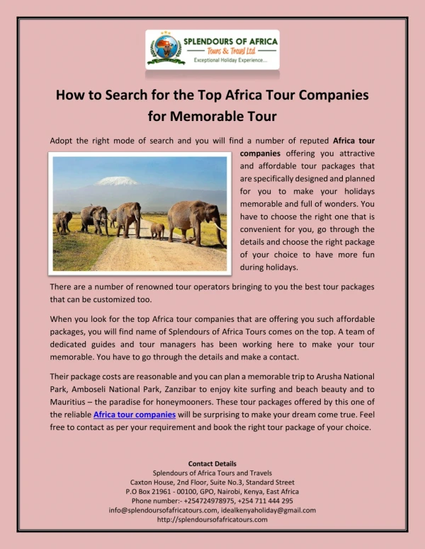 How to Search for the Top Africa Tour Companies for Memorable Tour