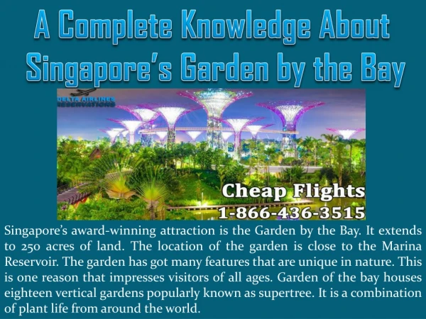A Complete Knowledge About Singapore’s Garden by the Bay