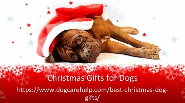 Christmas Gift ideas for dogs
