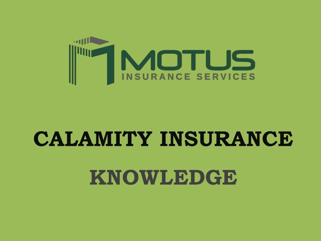 calamity insurance