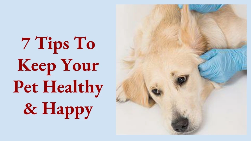 7 tips to keep your pet healthy happy