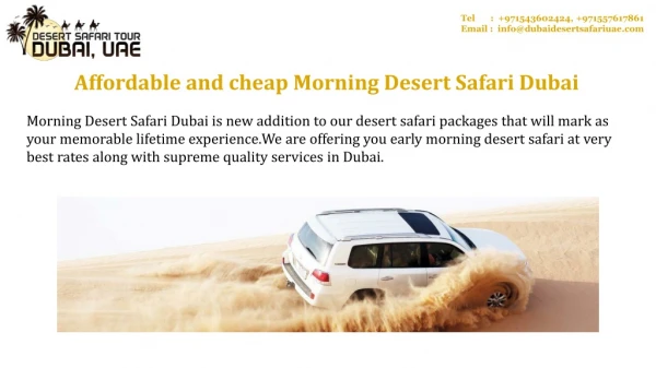 Morning Desert Safari | Dubai Desert Safari