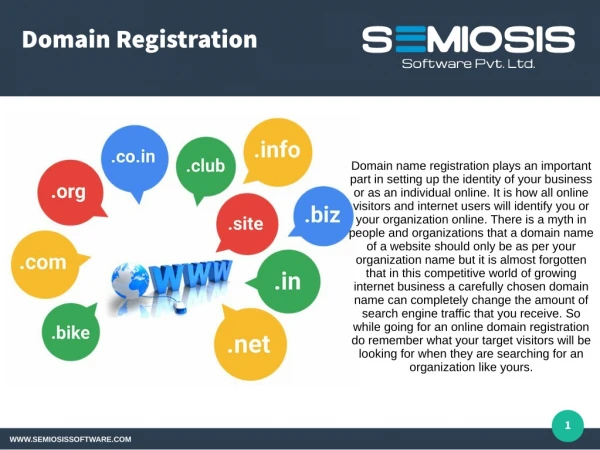 domain registration