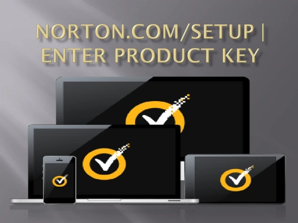norton com setup enter product key