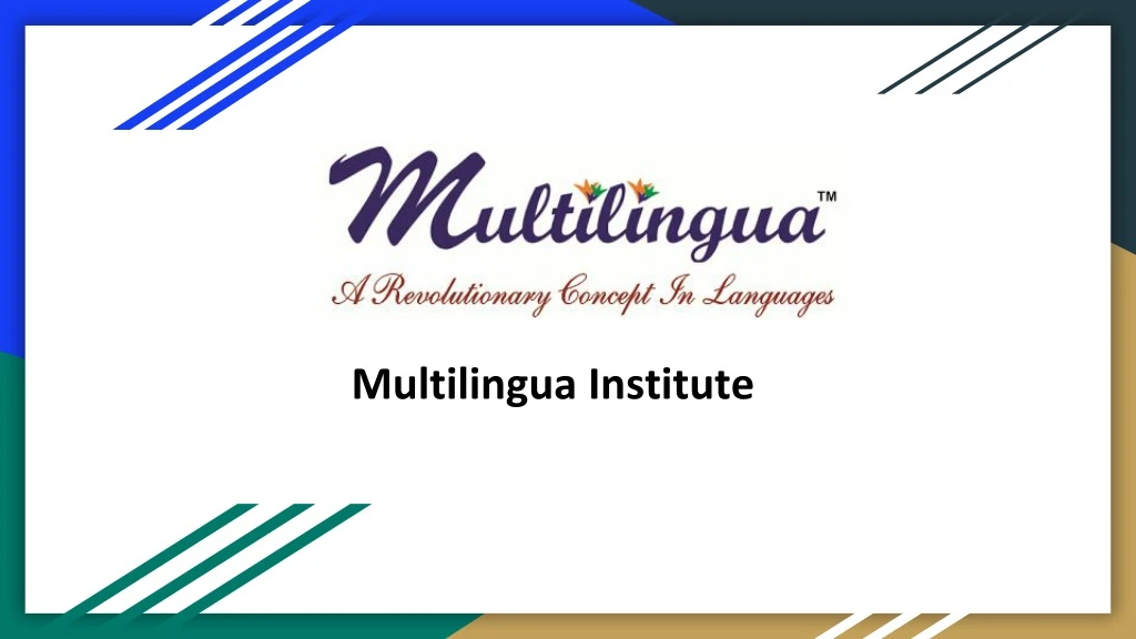 multilingua institute