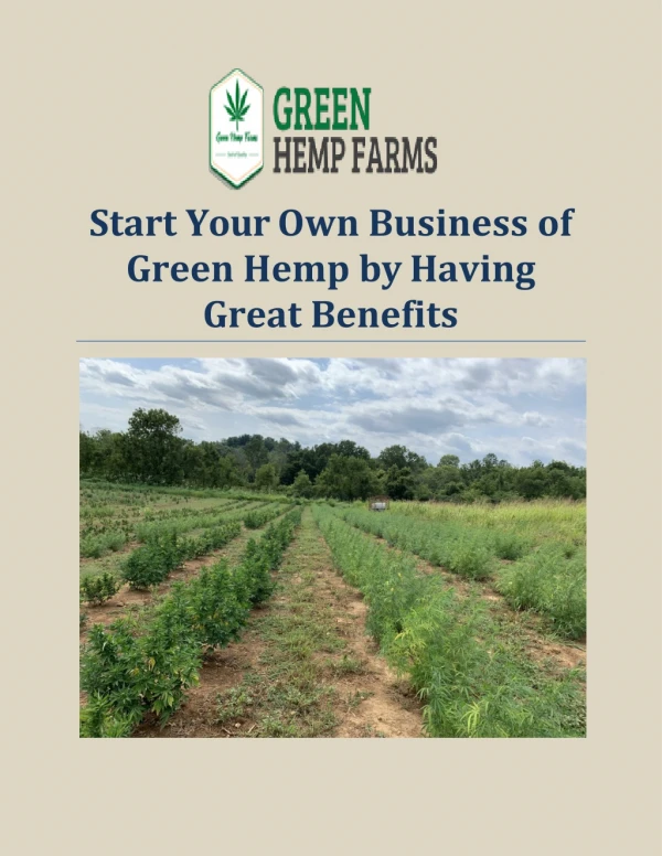 Start Your Own Business of Green Hemp by Having Great Benefits