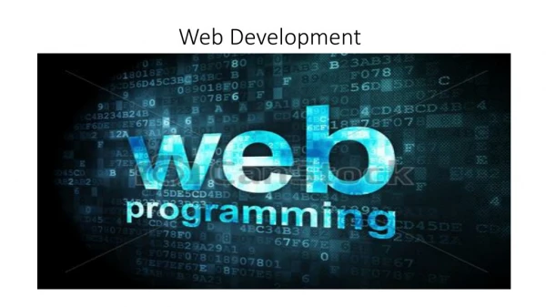 web application development usa