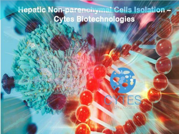 Hepatic Non-parenchymal Cells Isolation – Cytes Biotechnologies