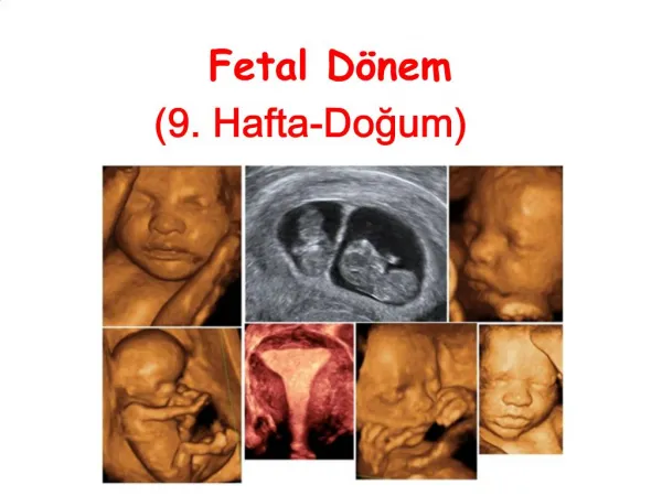 Fetal D nem 9. Hafta-Dogum