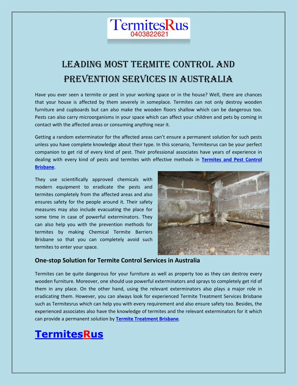 leading most termite control and prevention