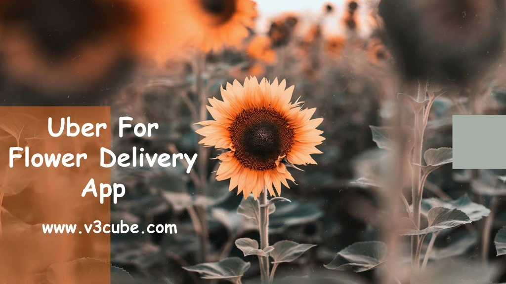 uber for flower delivery app