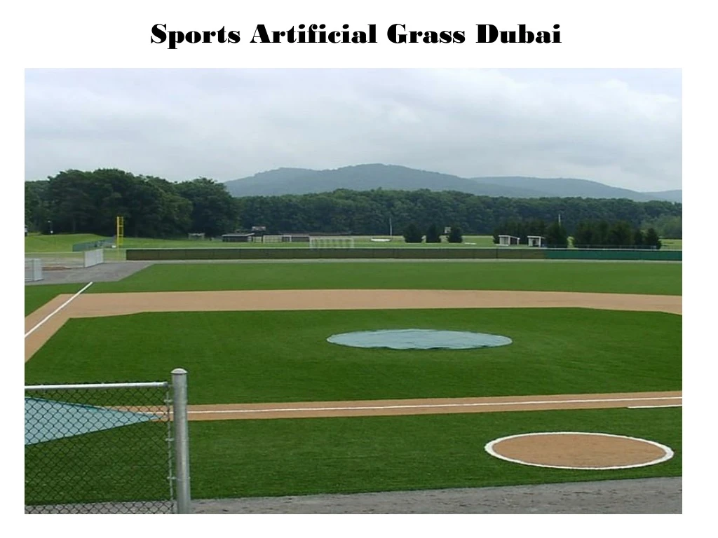 sports artificial grass dubai