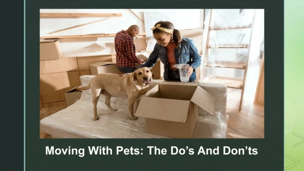 Best tips to Move with Pets