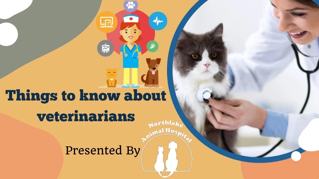 things to know about veterinarians