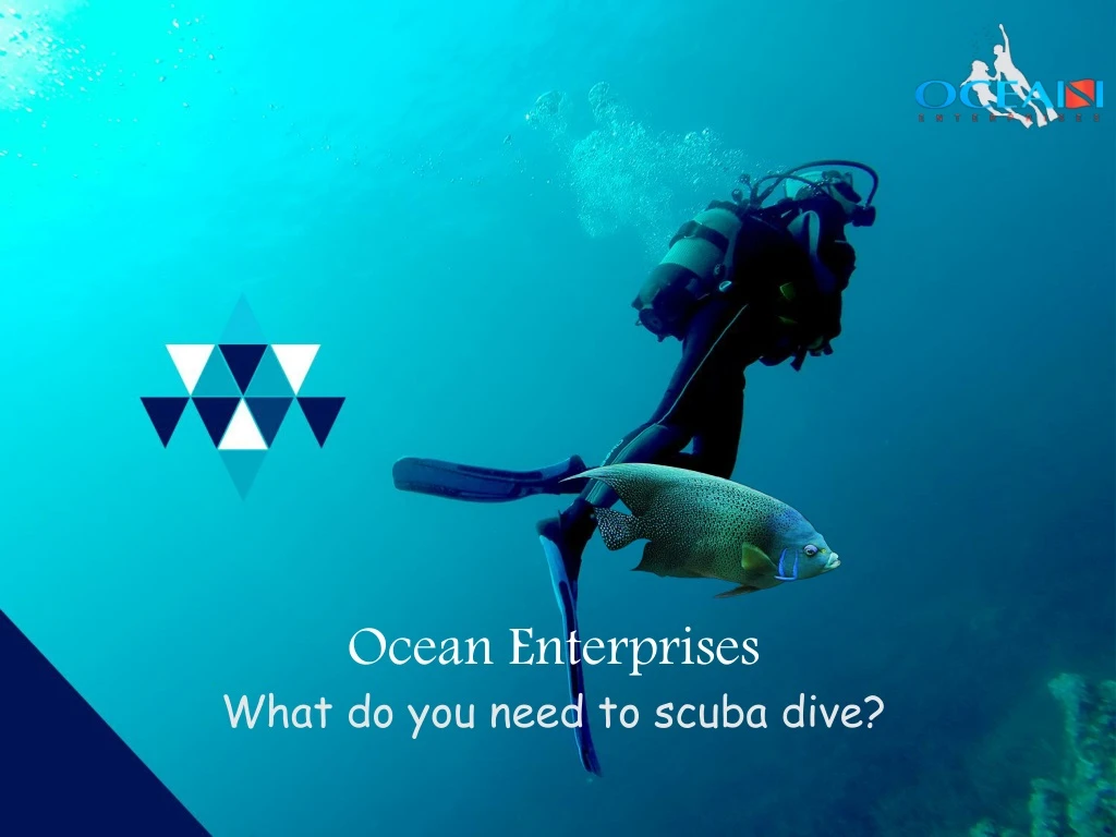 ocean enterprises what do you need to scuba dive