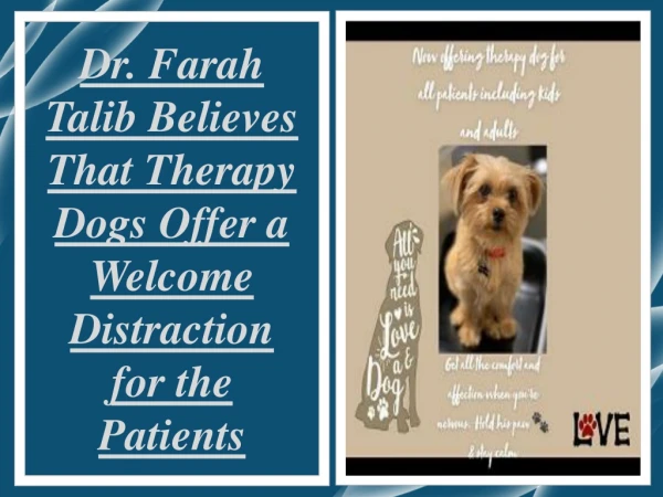 Dr. Farah Talib Believes That Therapy Dogs Offer a Welcome Distraction for the Patients