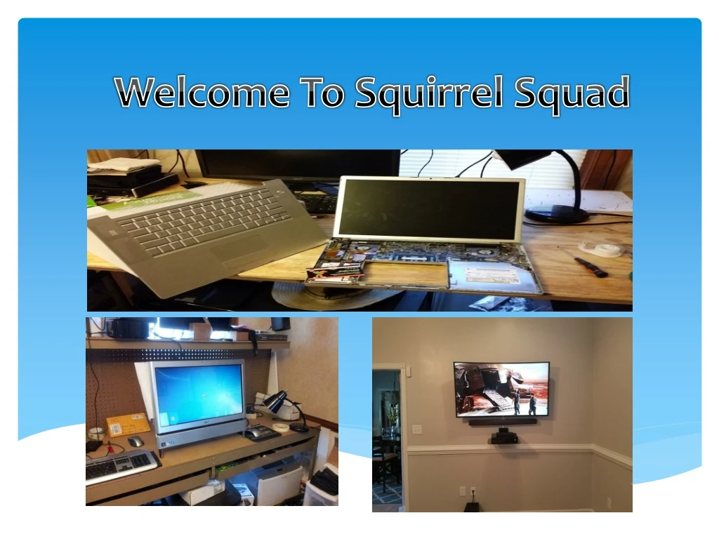 welcome to squirrel squad