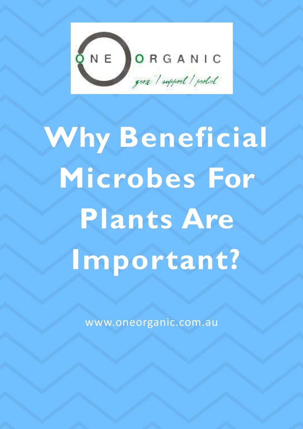 why beneficial microbes for plants are important