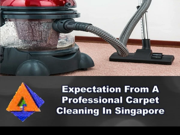 Expectation From A Professional Carpet Cleaning In Singapore