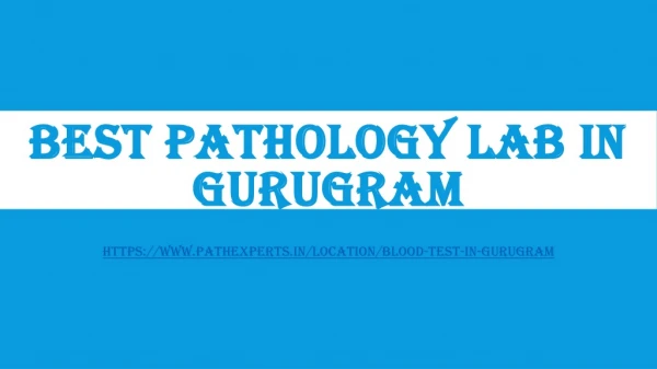best pathology lab in gurugram