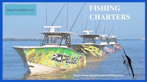 Best Fishing Charters Florida Services in Affordable prices