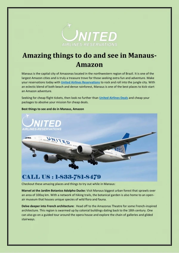 amazing things to do and see in manaus amazon
