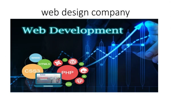 web application development usa