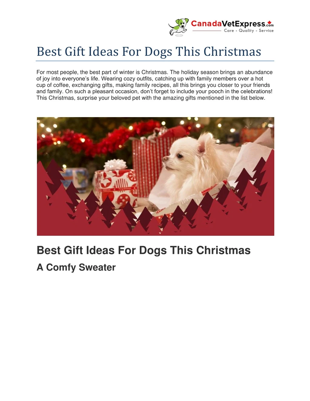 best gift ideas for dogs this christmas