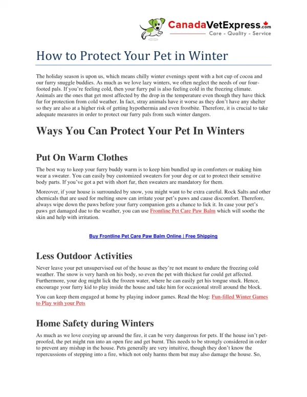 how to protect your pet in winter