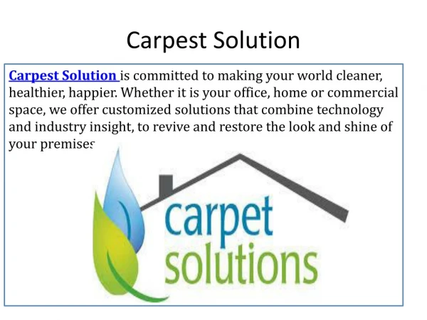 Best carpet cleaning services