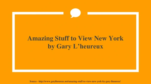 amazing stuff to view new york by gary l heureux