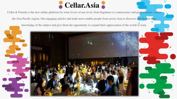 cellar asia