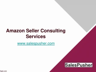 Amazon Seller Consulting Services - www.salespusher.com - slide 1