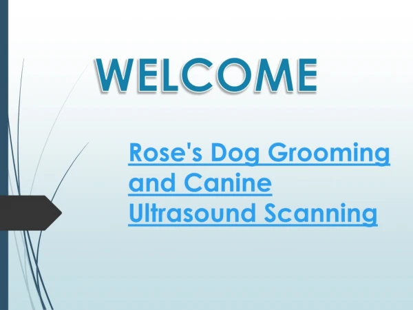 welcome